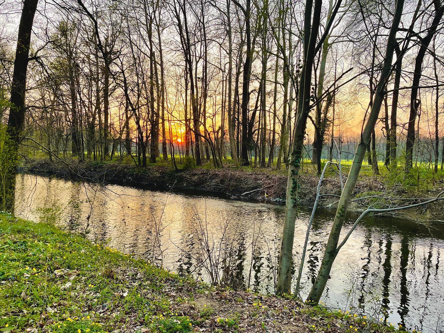 Foto tratta dalla pagina Facebook del Parco Valle Lambro