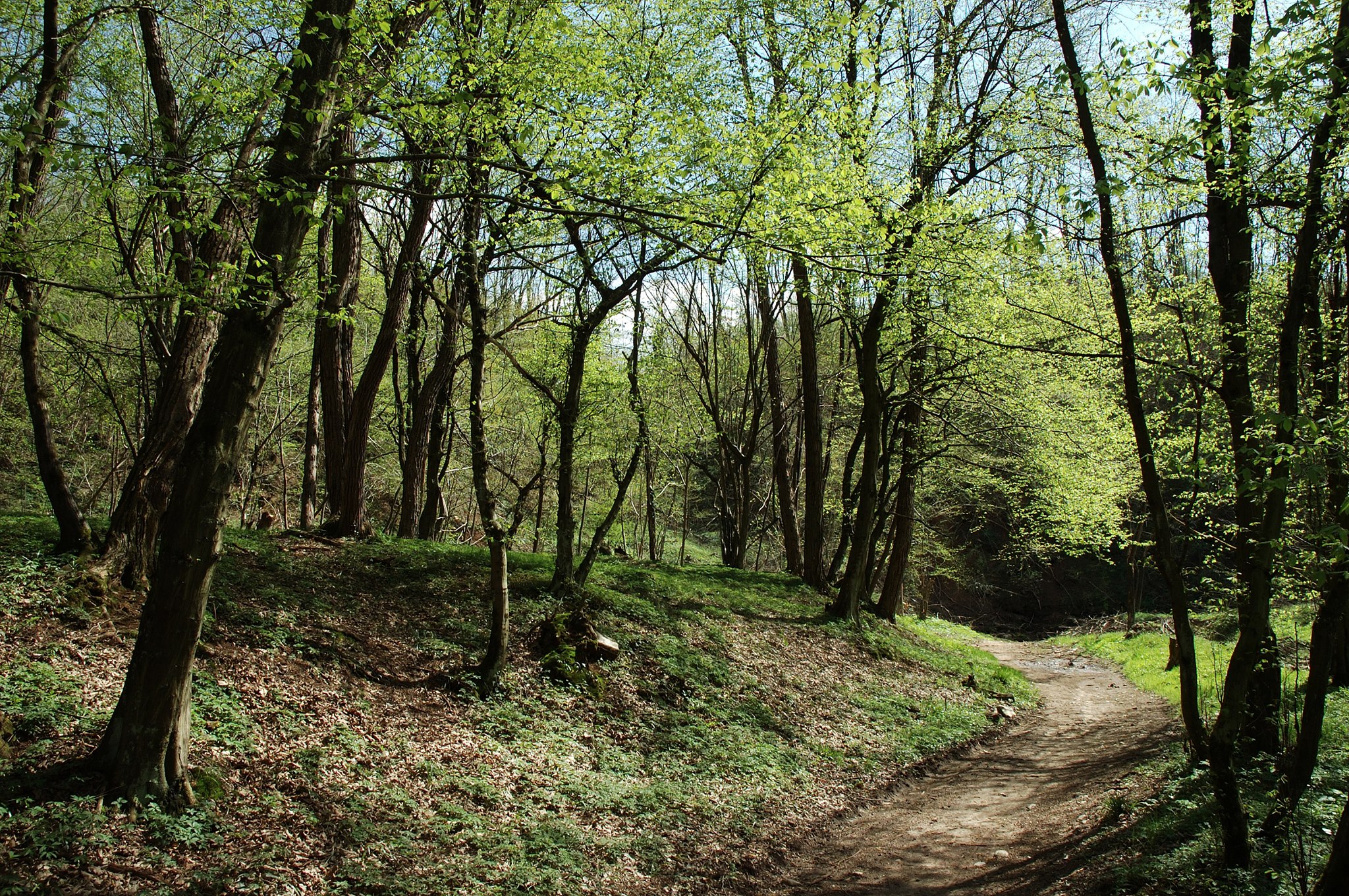 Parco Valle lambro